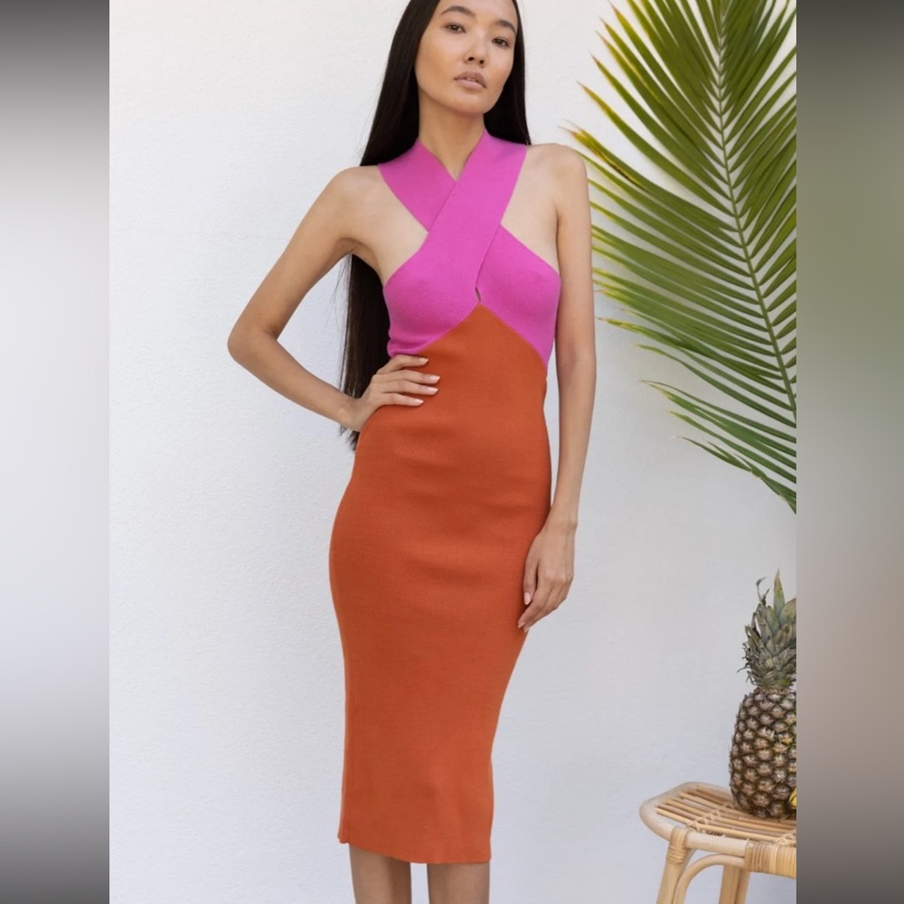 Le Superbe Dragon Fruit Dress NWT